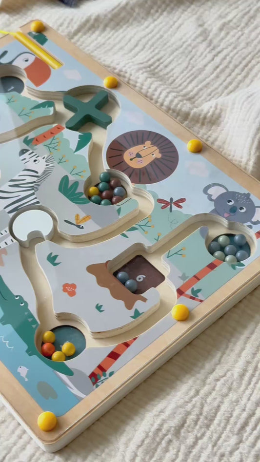 Safari Magnetic Learning Maze